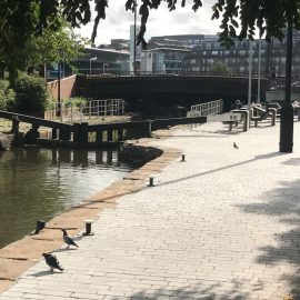 Canal Locks