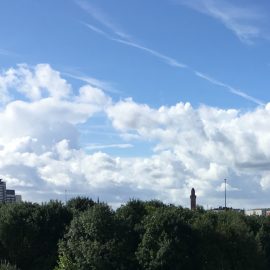 Trees and sky